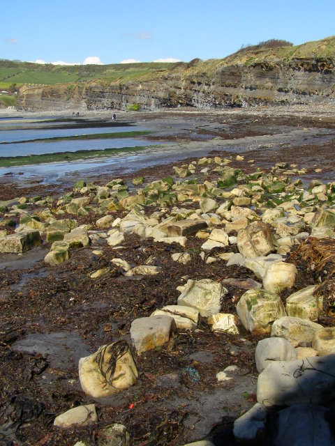 Kimmeridge Bay, Dorset