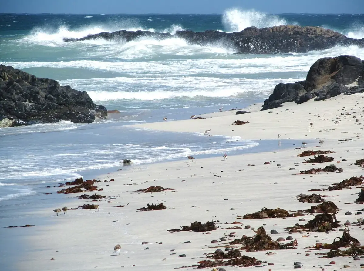 Coastal scene near Balevullin, Tiree, used as a representative location image for Tiree Campsite (Balinoe)