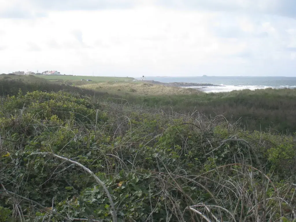 Coastal scene near Bamburgh, used as a representative image for Glororum Caravan Park