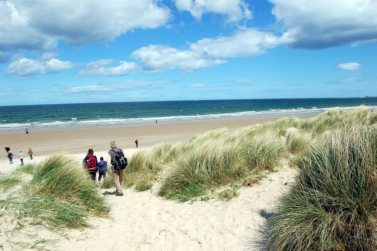 Coastal scene near Bamburgh, used as a representative image for Greystead Bamburgh