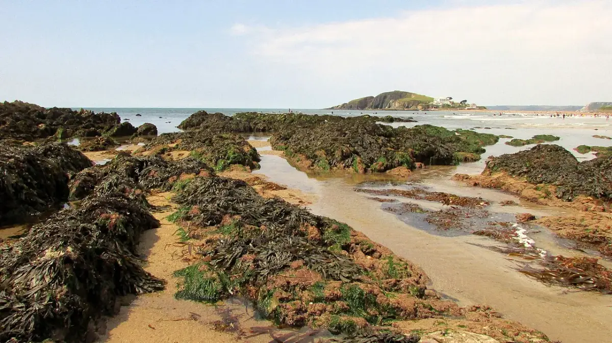 Coastal scene near Bantham, used as a representative image for Coastguards Cottage, Bantham