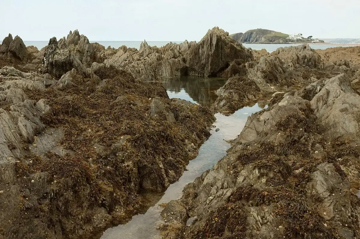 Coastal scene near Kingsbridge and South Hams, used as a representative image for Finest Stays