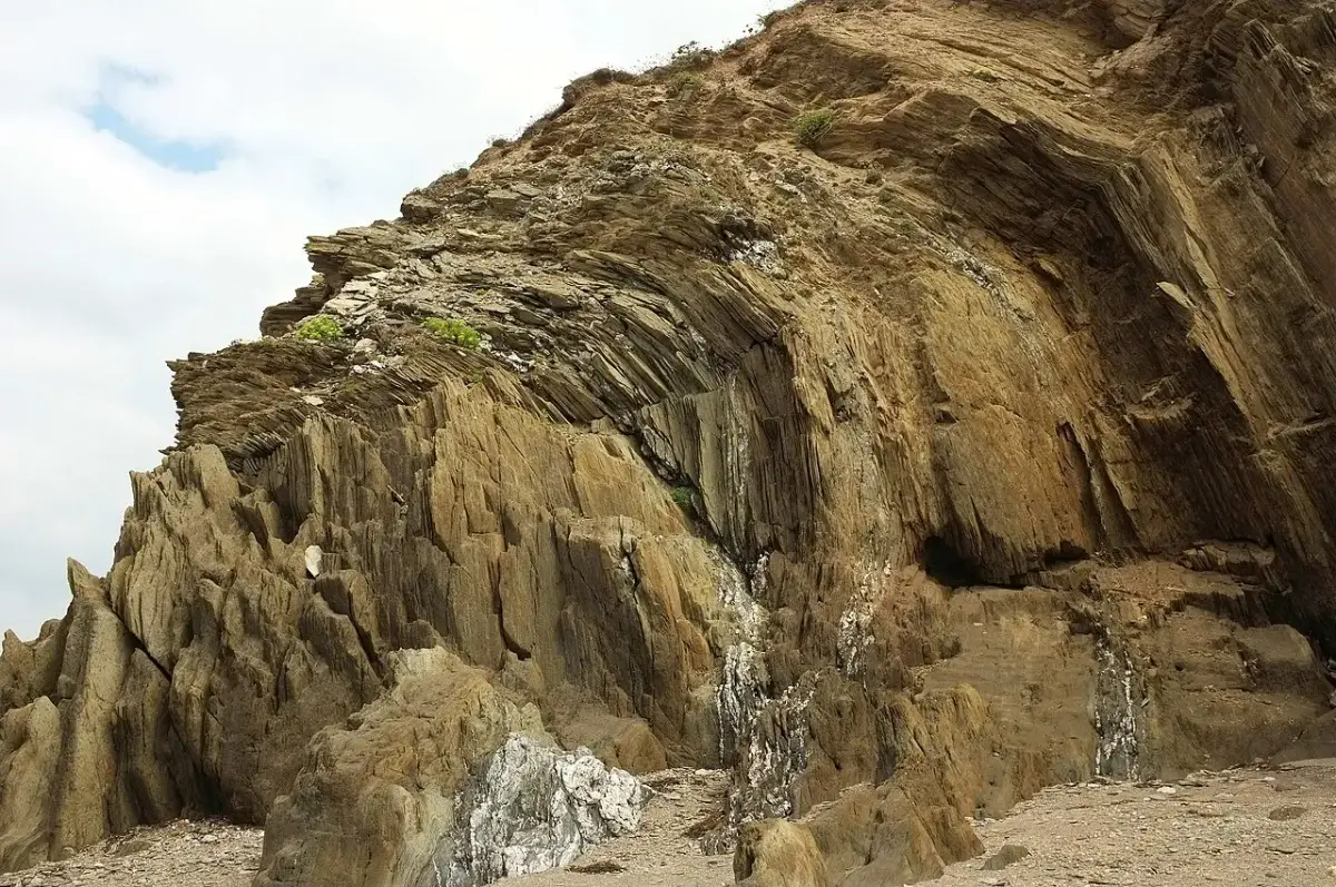 Coastal scene near Kingsbridge and South Hams, used as a representative image for Dittiscombe Estate & Cottages