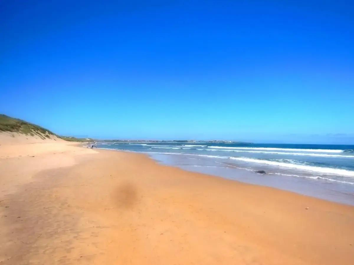 Coastal scene near Beadnell Bay, used as a representative location image for Beach House Hotel