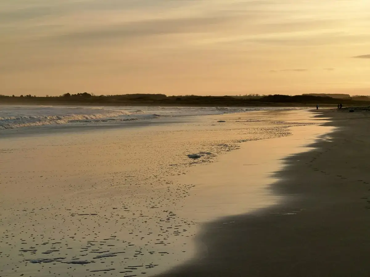 Coastal scene near Beadnell Bay, used as a representative image for The Bamburgh Castle Inn - The Inn Collection Group