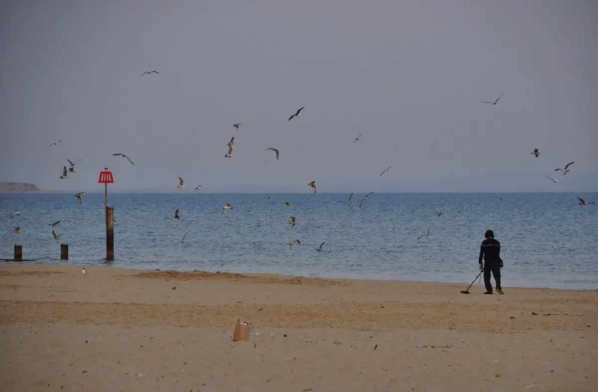 Coastal scene near Bournemouth, used as a representative image for Boscombe Reef Hotel