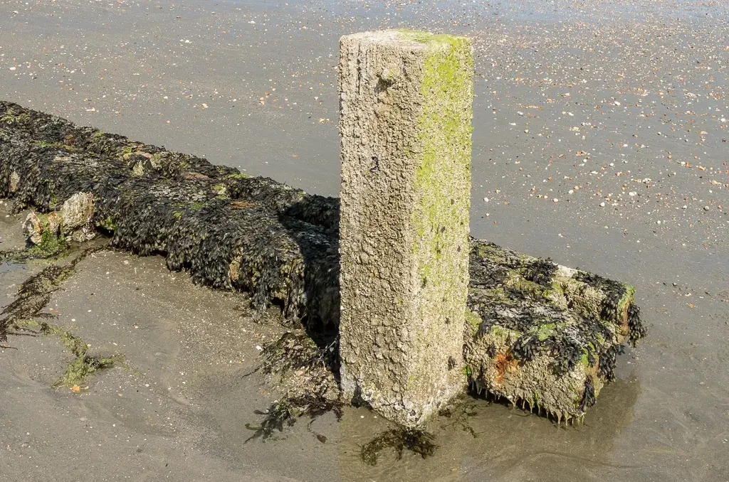 Coastal scene near Bracklesham Bay, used as a representative image for Wicks Farm Holiday Park