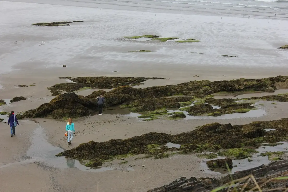 Coastal scene near Broad Haven, used as a representative location image for Atlantic View Cottages