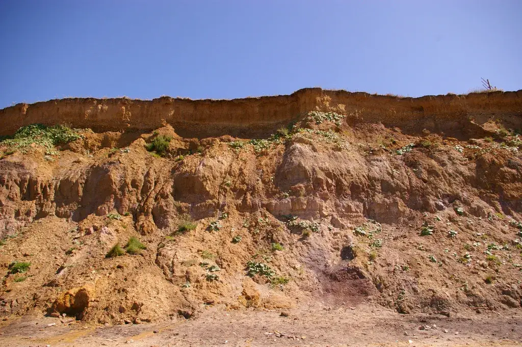 Coastal scene near Chale, used as a representative image for Chale Bay Farm