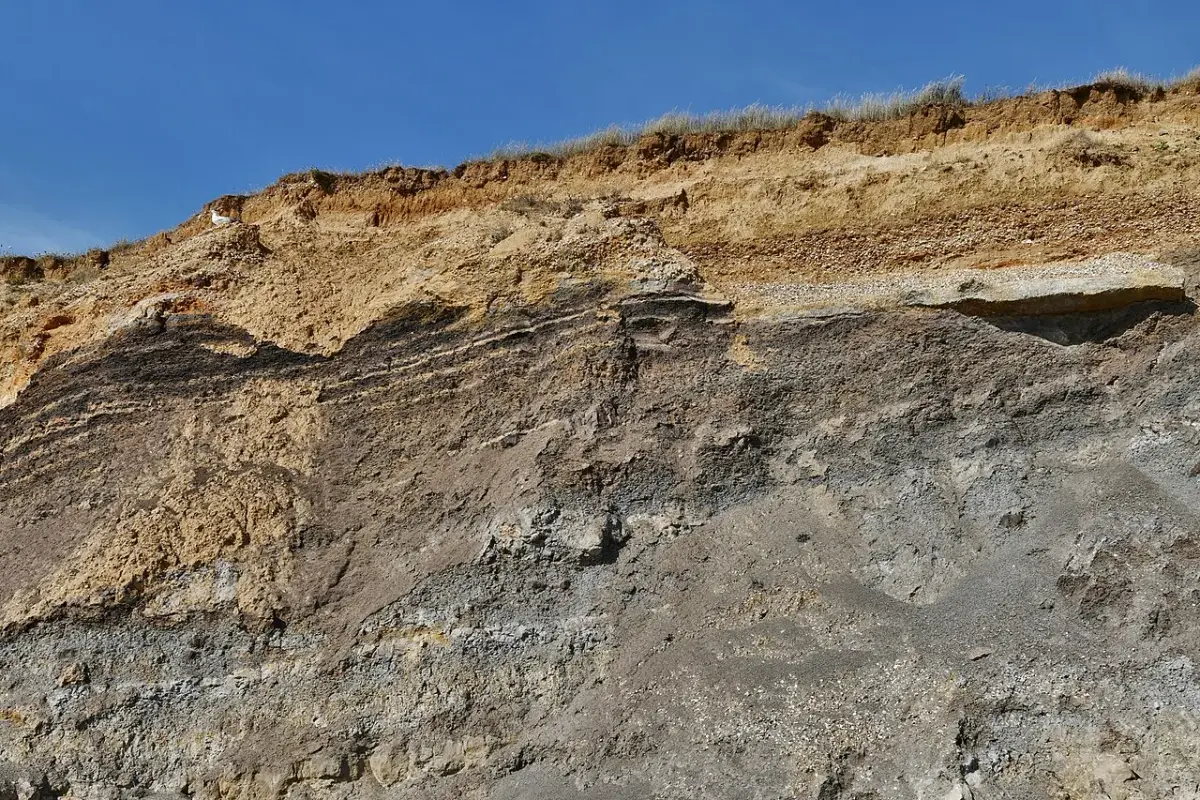 Coastal scene near Chale, used as a representative location image for Chale Bay Farm