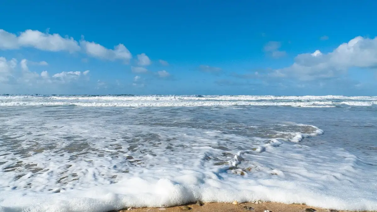 Coastal scene near Newquay, used as a representative image for Berties Lodge