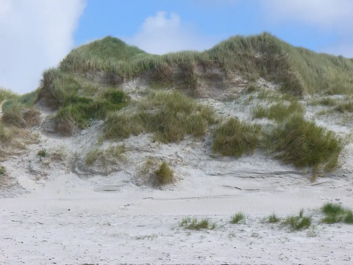 Crantock beach used to illustrate Big Green Adventures