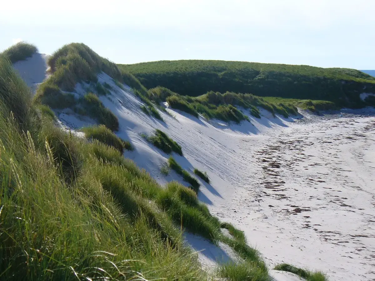 Perranporth beach used to illustrate Perranporth Surf School