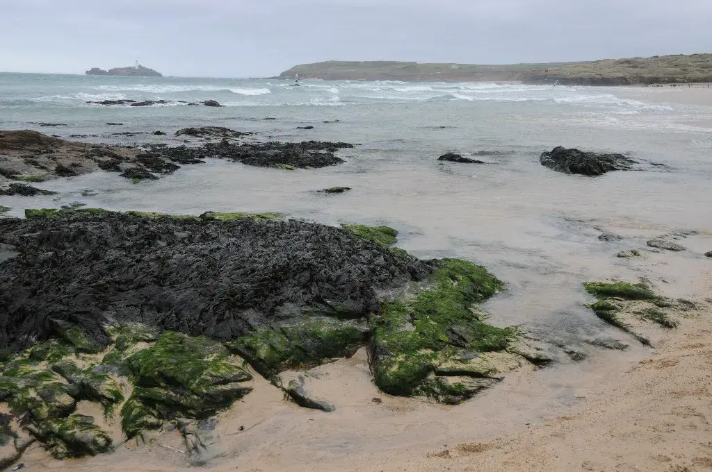 Coastal scene near Gwithian, used as a representative image for Upton Towans holiday cottages