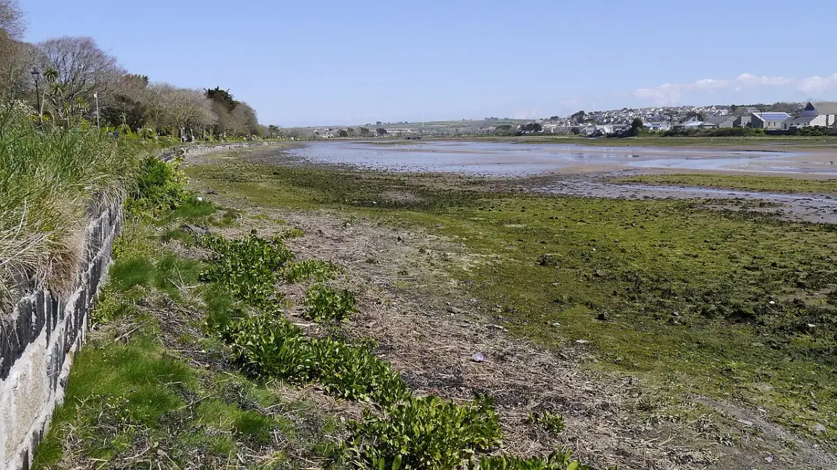 Coastal scene near Hayle, used as a representative image for Sandy Acres Lodge