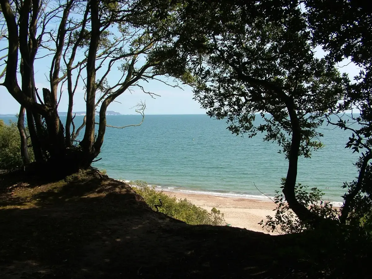 Coastal scene near Highcliffe, used as a representative image for Hoburne Naish