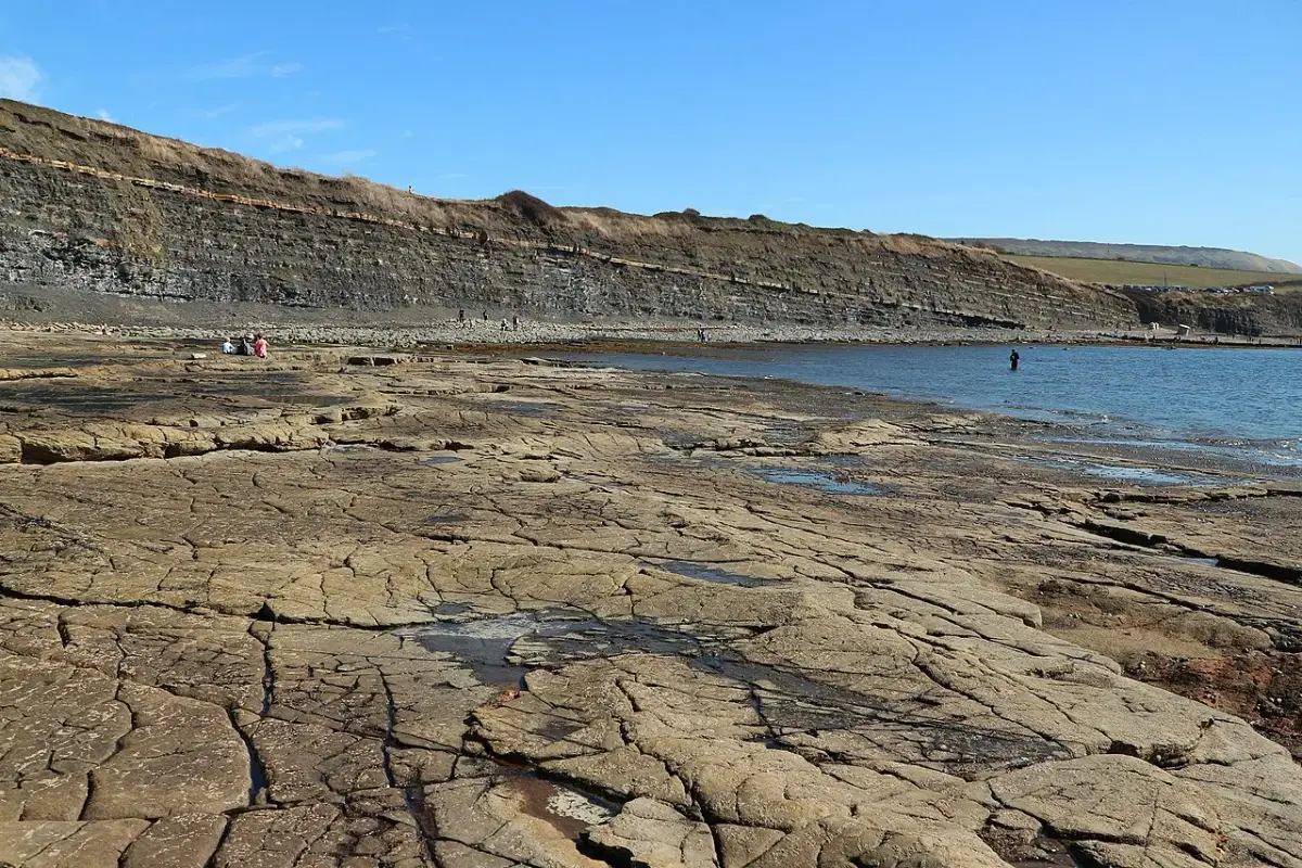 Coastal scene near Kimmeridge Bay, used as a representative location image for The Scott Arms
