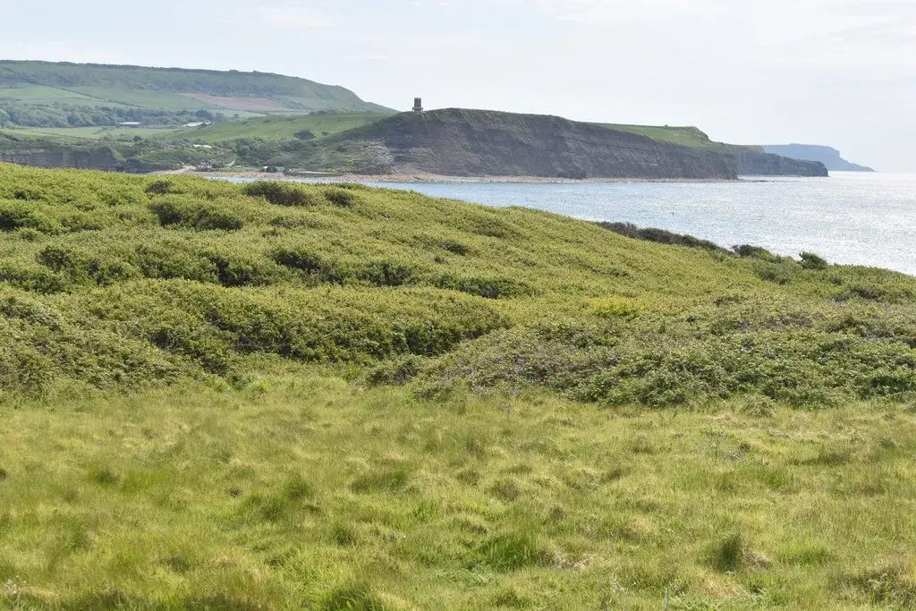 Coastal scene near Kimmeridge Bay, used as a representative image for Smedmore Caravan Site