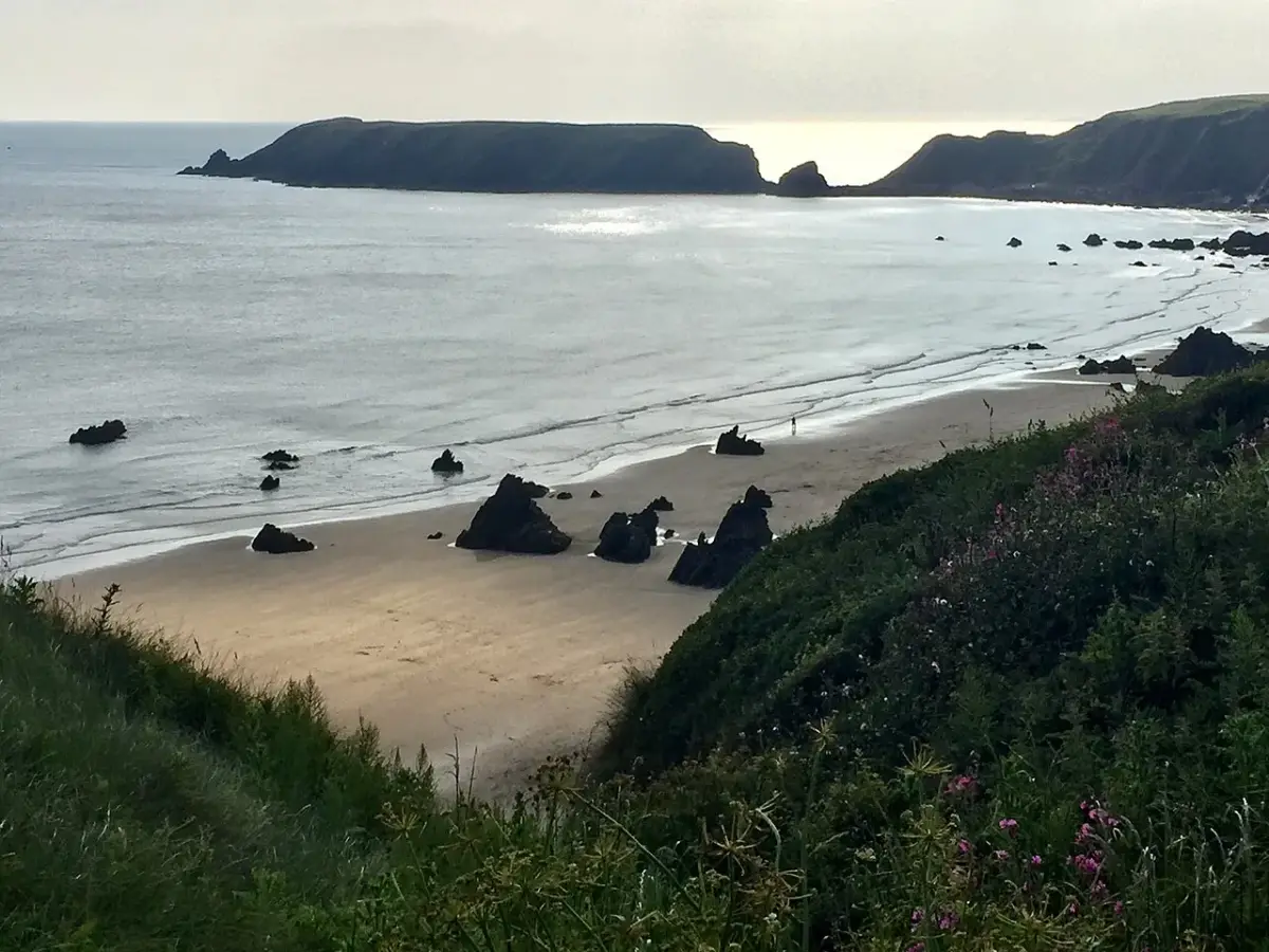 Coastal scene near Marloes Sands, used as a representative image for Musselwick Farm Cottages