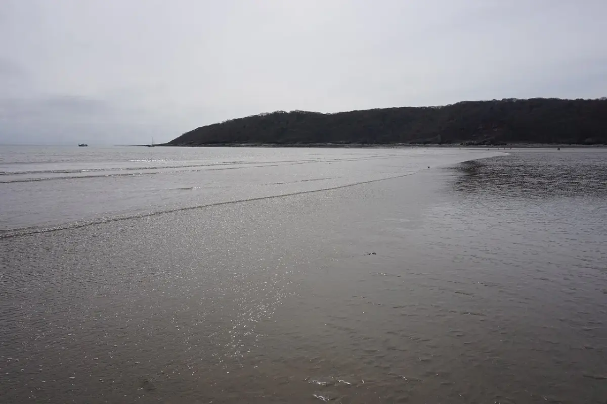 Coastal scene near Oxwich Bay, used as a representative image for Coastal View, Sealands Farm