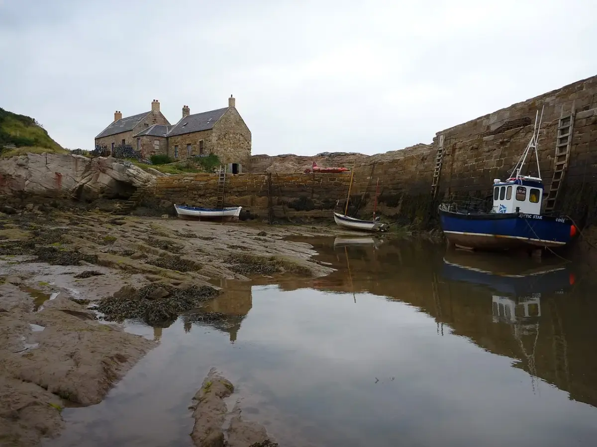 Coastal scene near Pease Bay, used as a representative location image for Thurston Manor Holiday Park