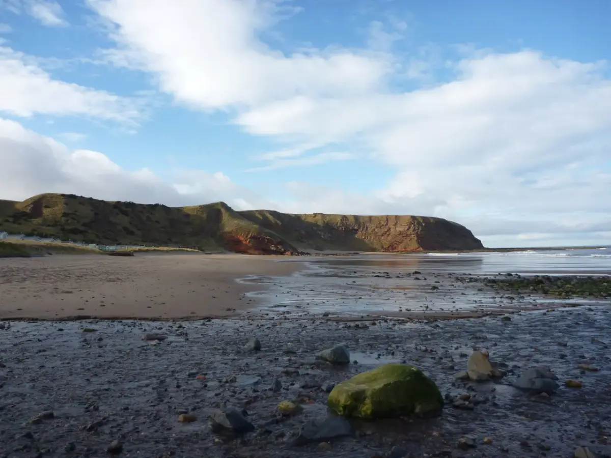 Coastal scene near Pease Bay, used as a representative location image for Pease Bay Holiday Park