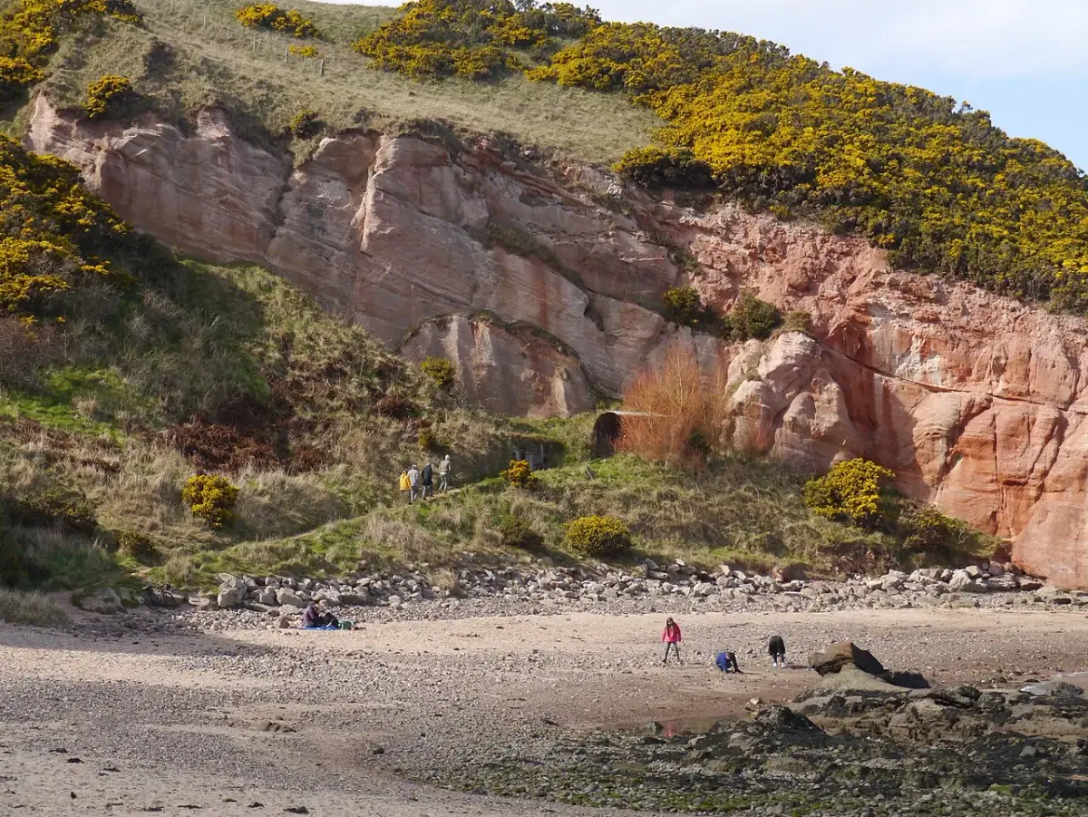 Coastal scene near Pease Bay, used as a representative image for Pease Bay Holiday Park