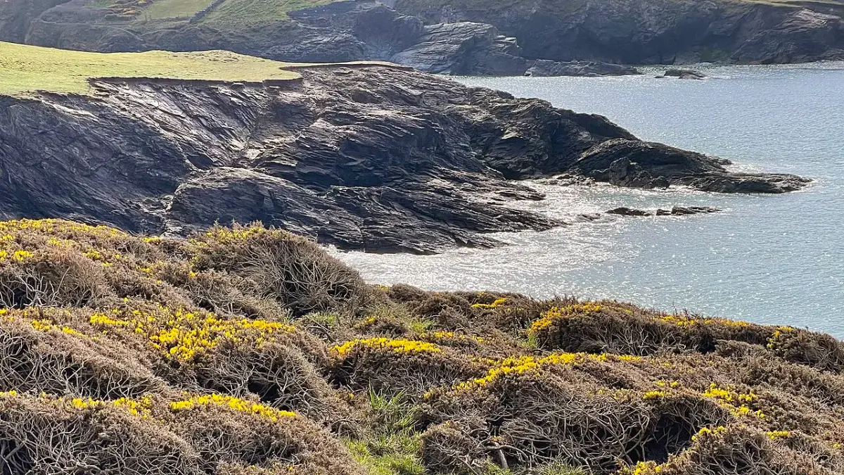 Polzeath beach in Cornwall