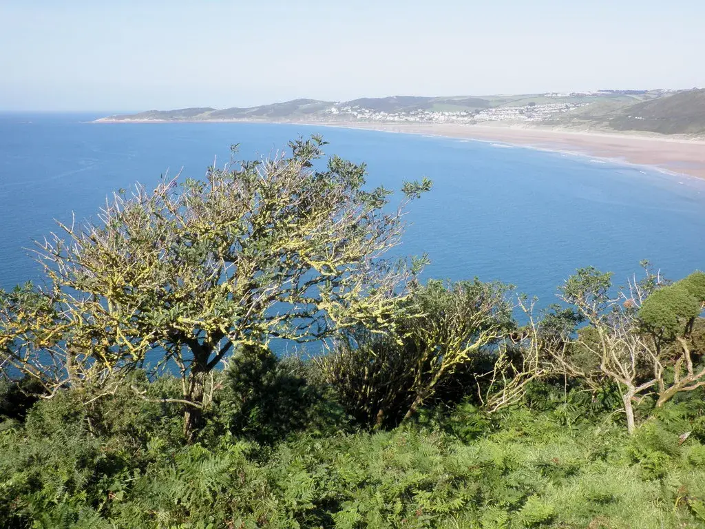 Coastal scene near Putsborough, used as a representative image for Ocean Pitch