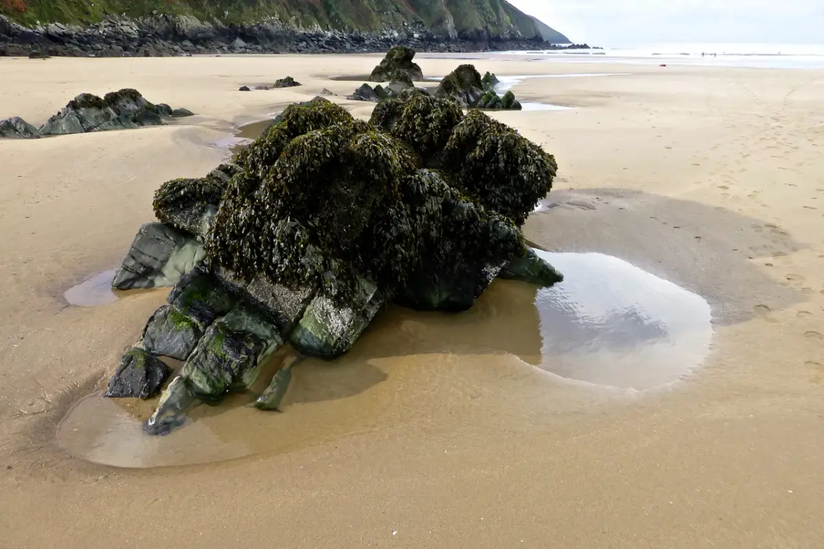 Coastal scene near Putsborough, used as a representative image for The Thatch Croyde