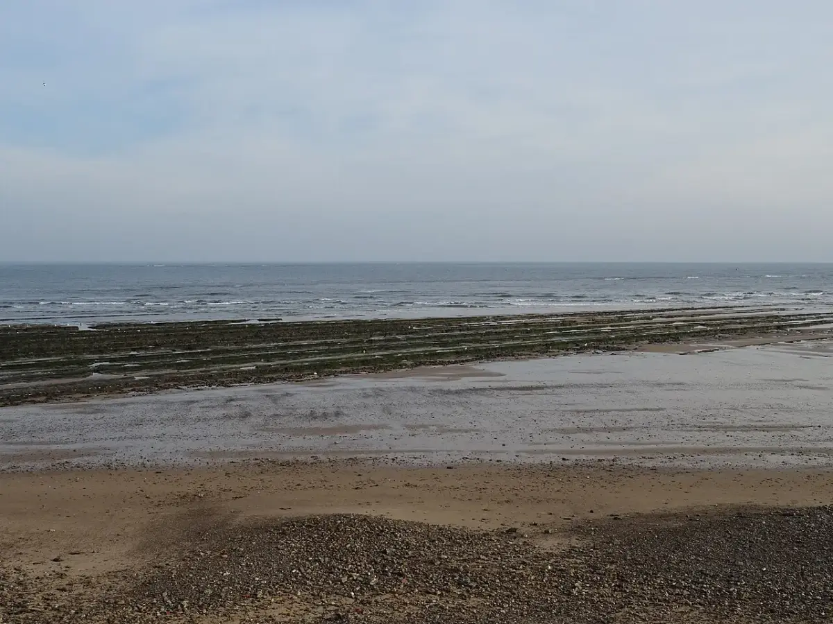 Coastal scene near Redcar, used as a representative location image for The Claxton Hotel