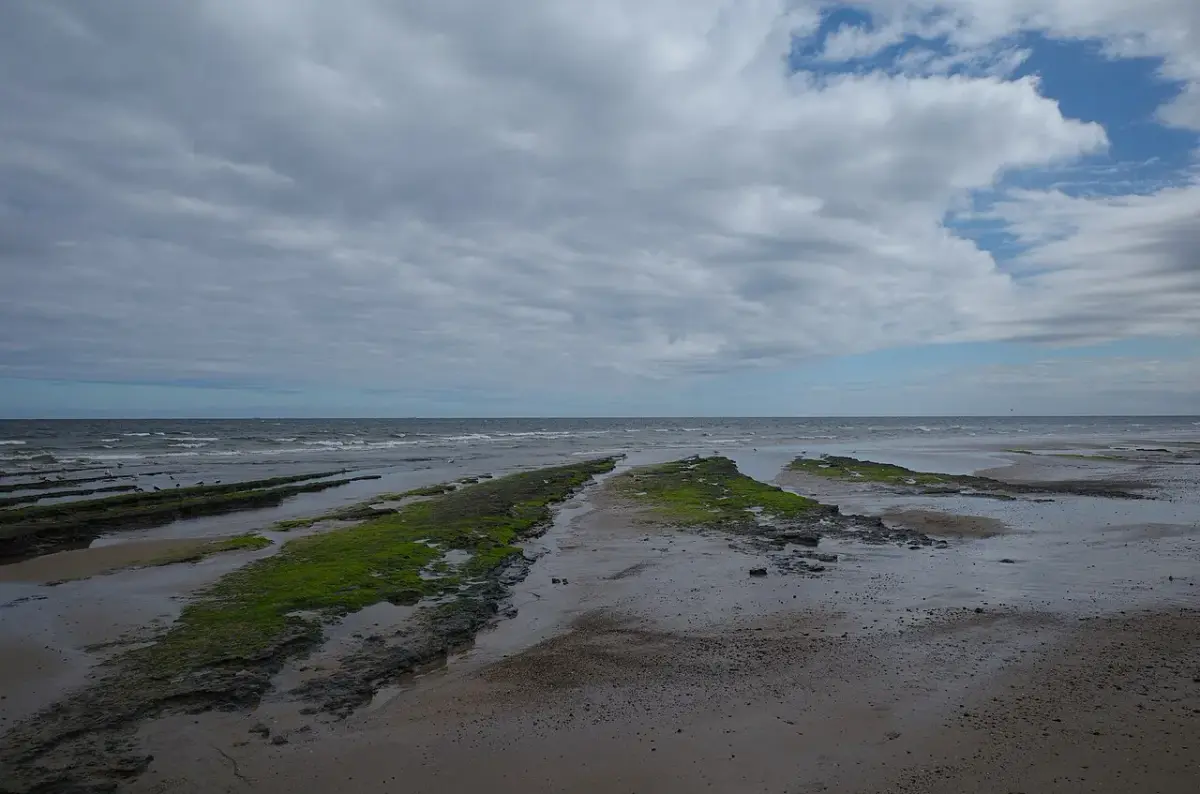 Coastal scene near Redcar, used as a representative image for The Park Hotel