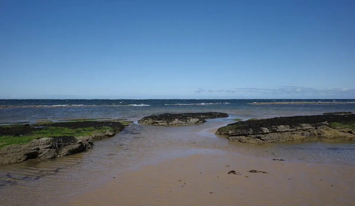 Coastal scene near Redcar, used as a representative image for Bellevue Apartments