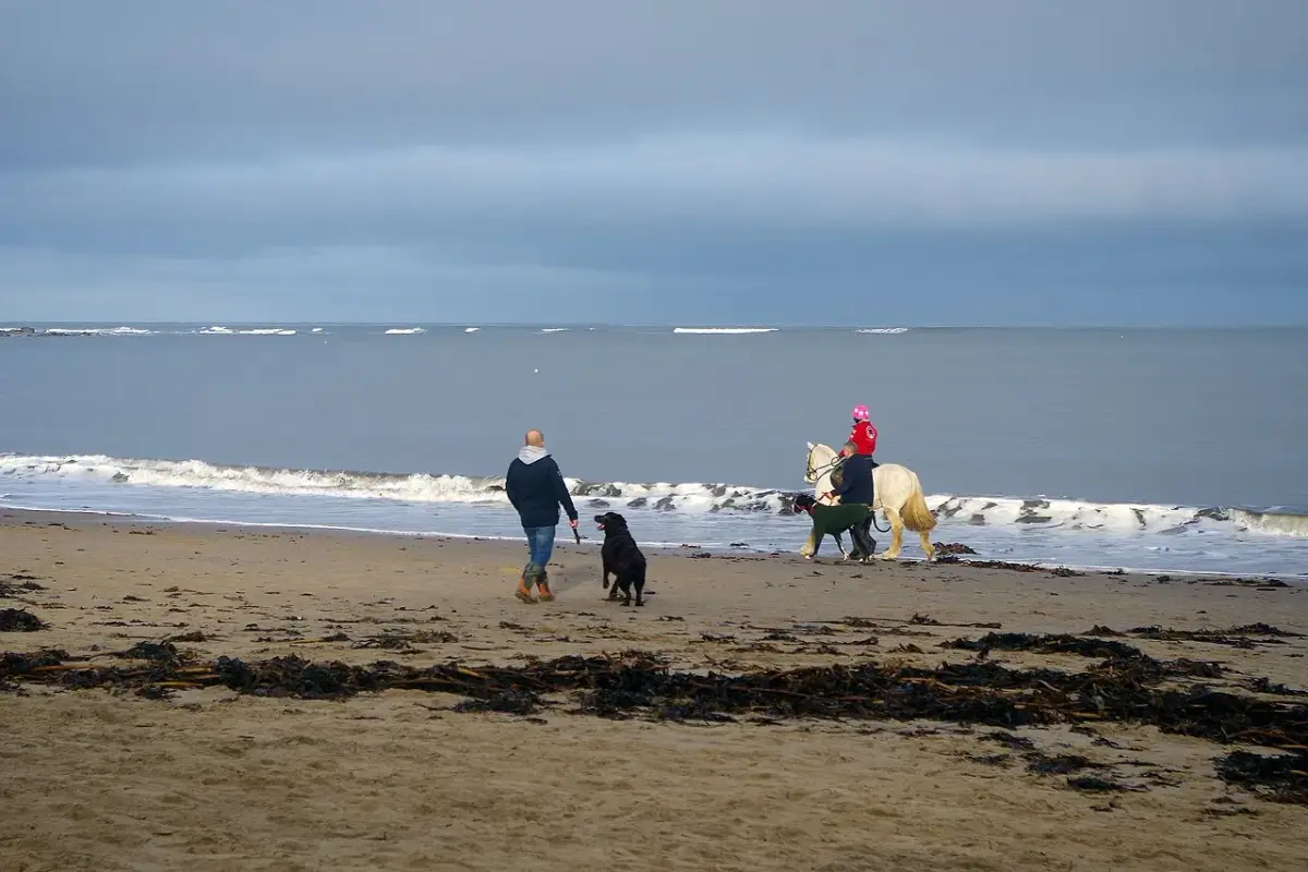 Coastal scene near Runswick Bay, used as a representative location image for Runswick Bay Hotel