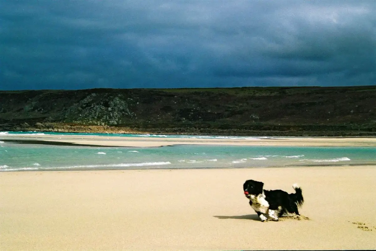 Coastal scene near Sennen, used as a representative image for The Old Success Inn (rooms)