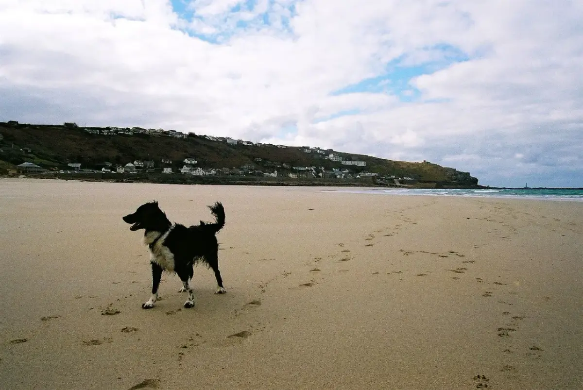 Coastal scene near Sennen, used as a representative image for Sennen Cove Camping and Caravanning Club Site