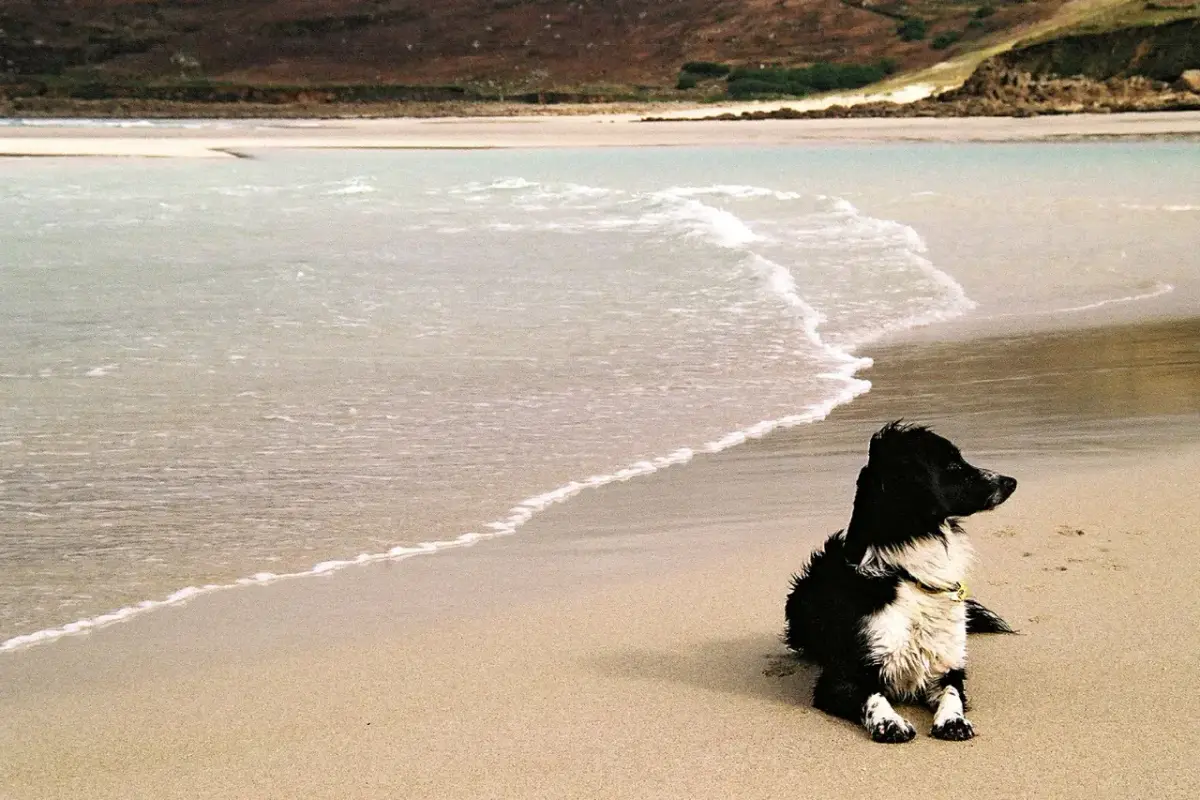 Coastal scene near Sennen, used as a representative image for Lands End Hotel
