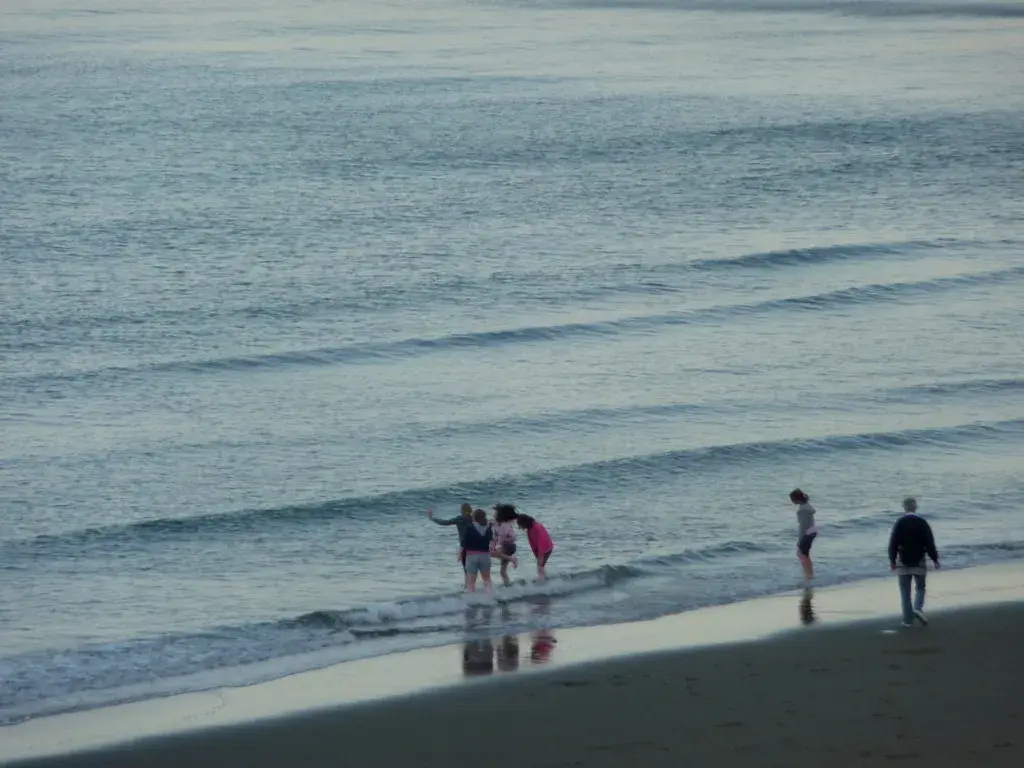 Coastal scene near Shanklin, used as a representative location image for The Fig Tree