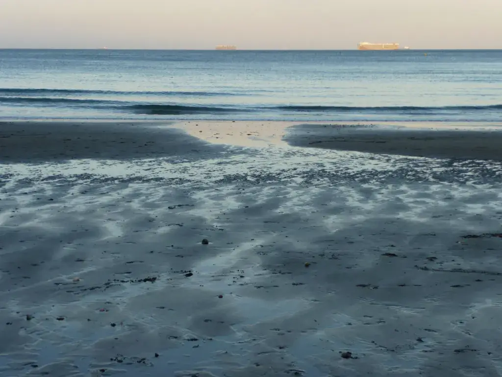 Coastal scene near Shanklin, used as a representative image for Channel View Hotel