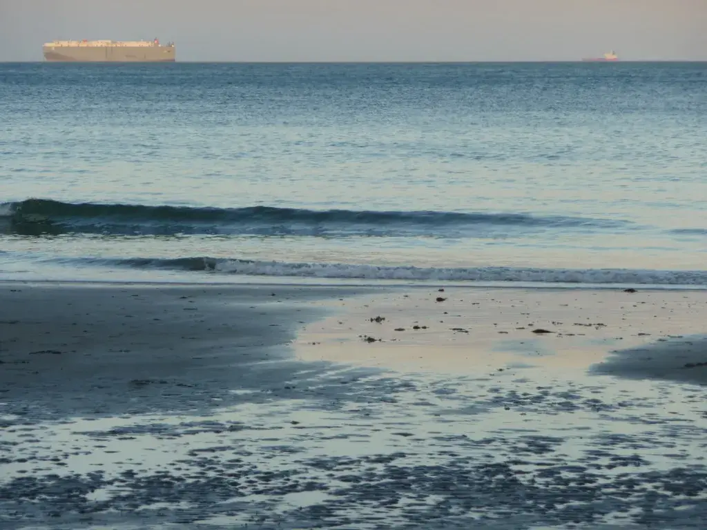 Coastal scene near Shanklin, used as a representative image for The Fig Tree
