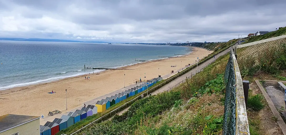 Coastal scene near Southbourne, used as a representative image for Alexander Lodge