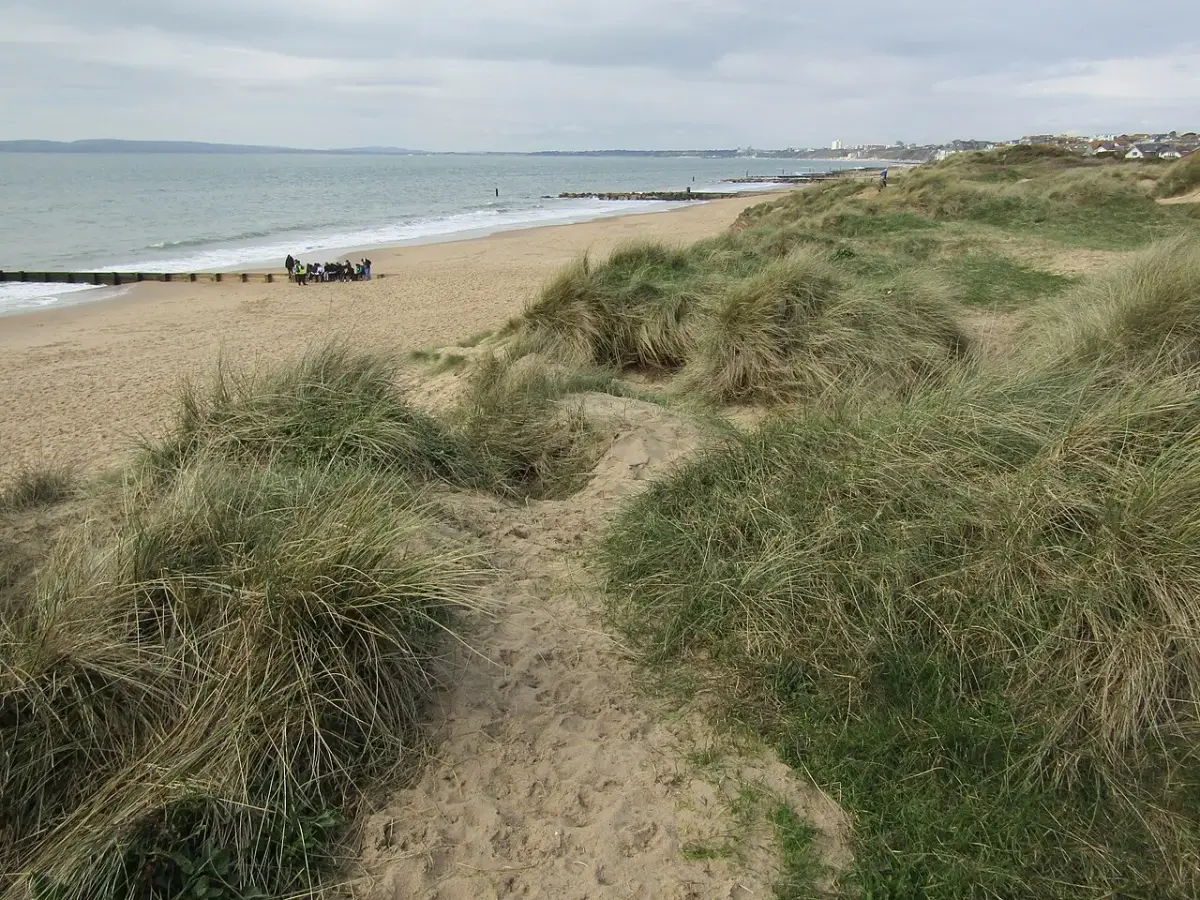 Coastal scene near Southbourne, used as a representative location image for Spyglass and Kettle