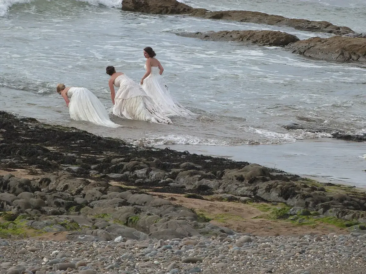 Coastal scene near Bude, used as a representative image for The Brendon Arms (rooms)