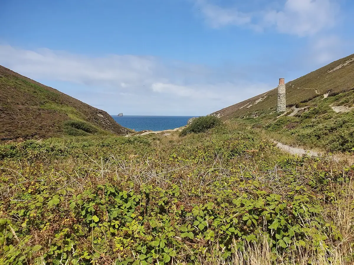 Coastal scene near Trevaunance Cove, used as a representative location image for St Agnes Hotel