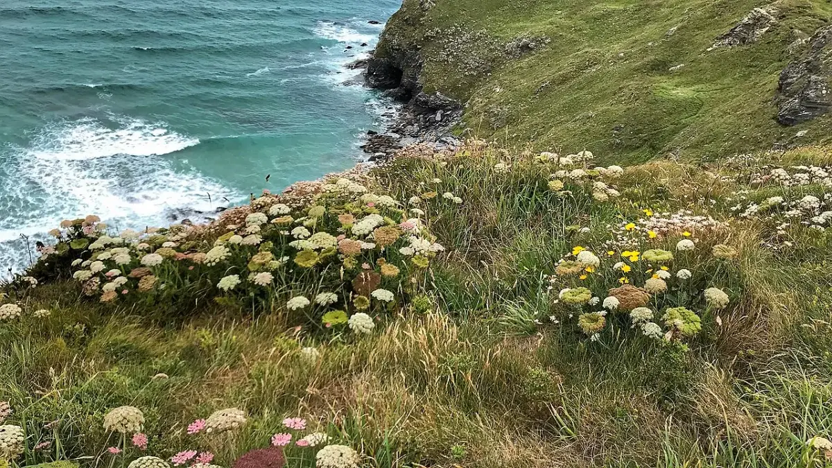 Coastal scene near Watergate Bay, used as a representative location image for Newquay Holiday Park