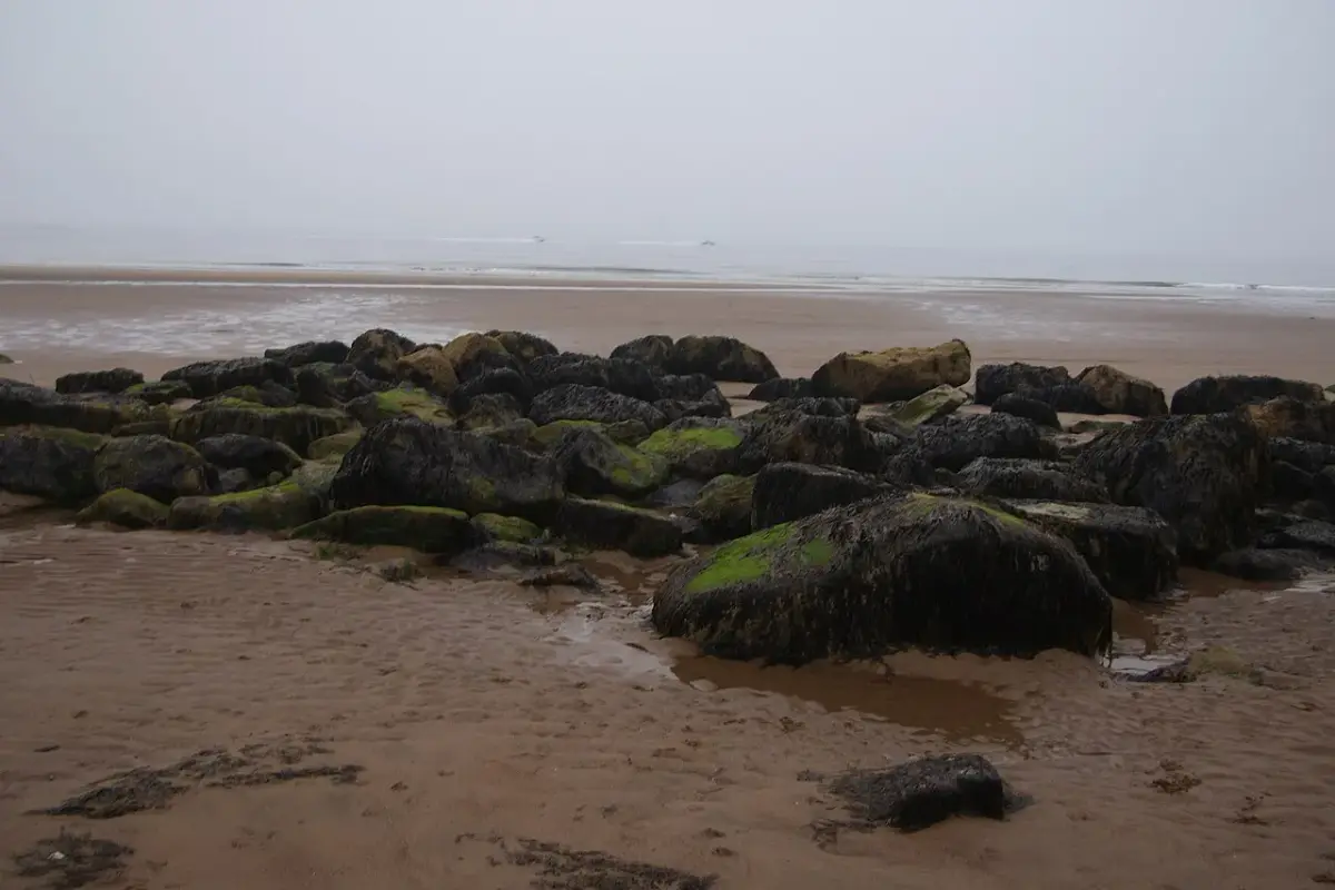 Coastal scene near Whitby, used as a representative image for Haven Crest