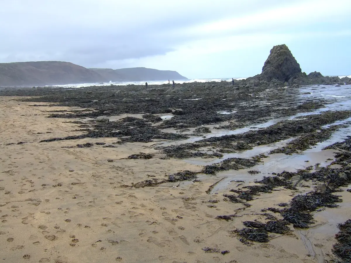 Coastal scene near Widemouth Bay, used as a representative location image for Gwel-an-Mor, Widemouth Bay