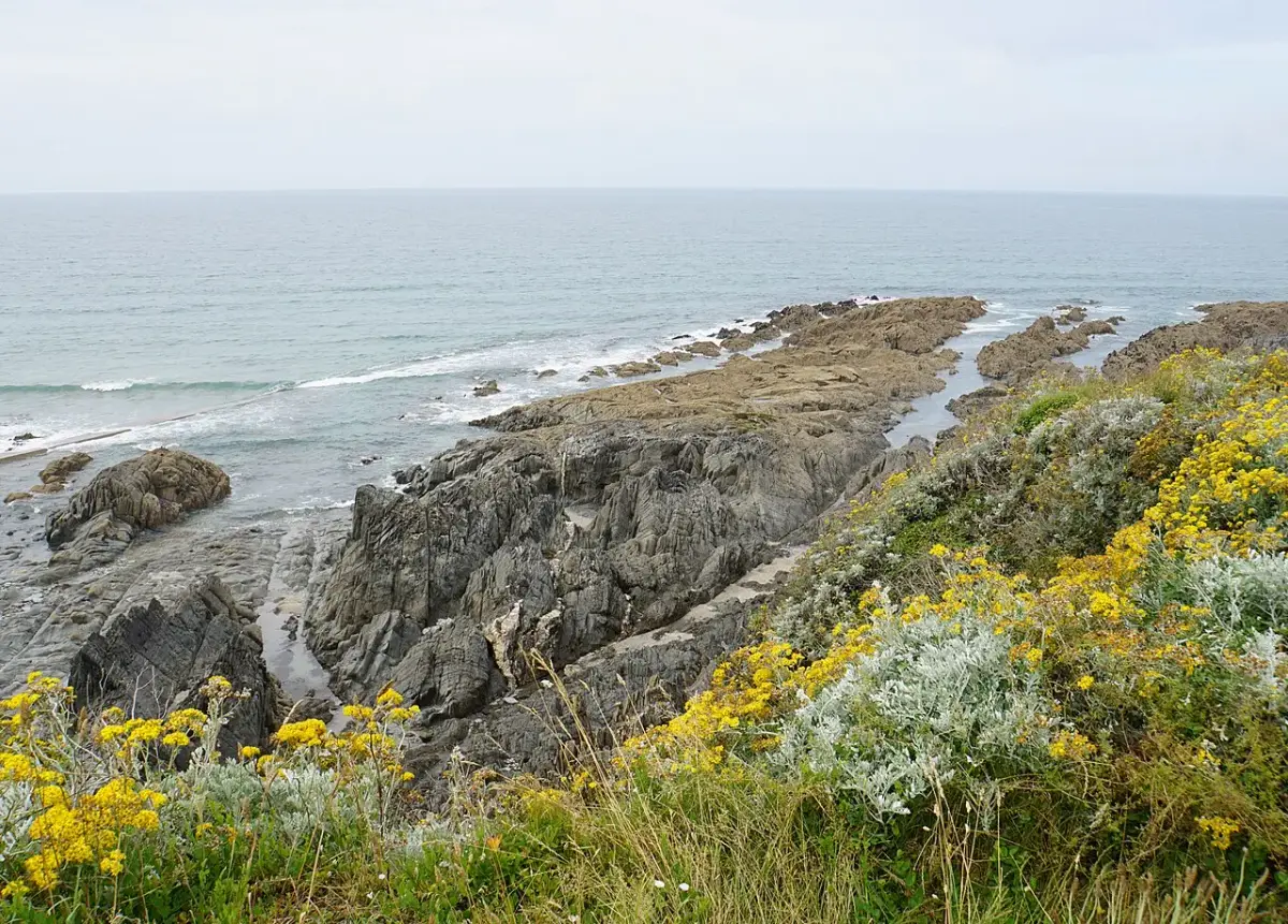 Coastal scene near Woolacombe, used as a representative location image for Woolacombe Bay Hotel