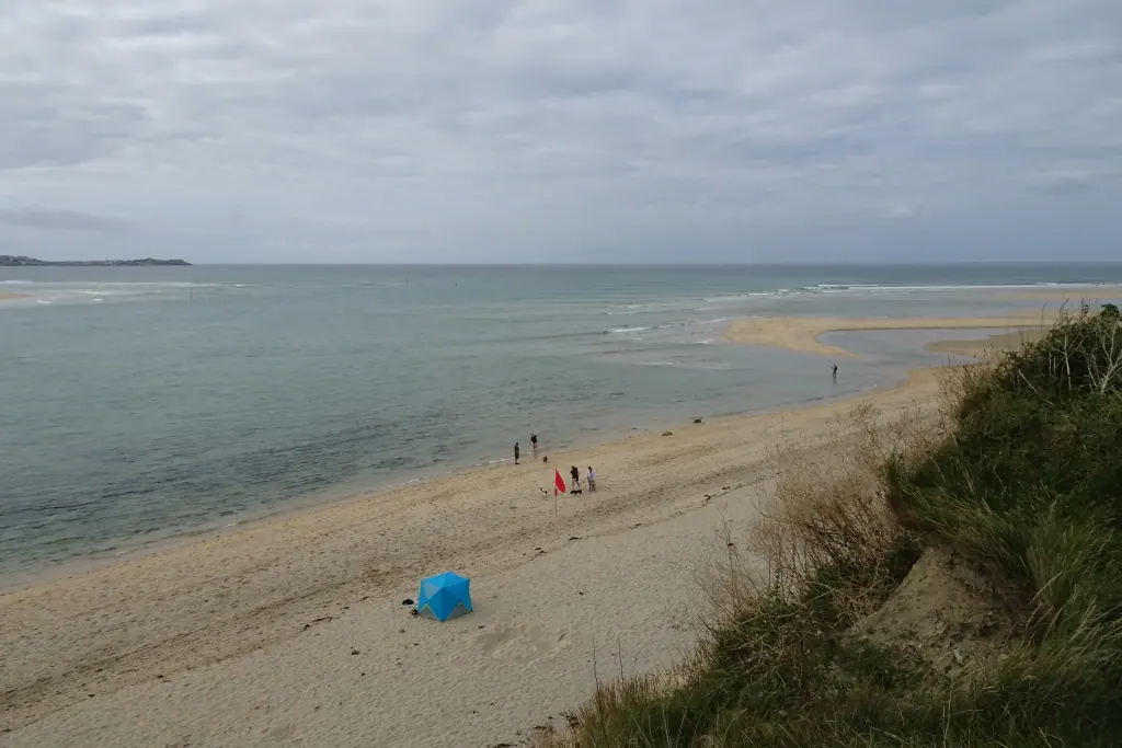 Hayle Towans beach seen from the dunes, with St Ives Bay beyond